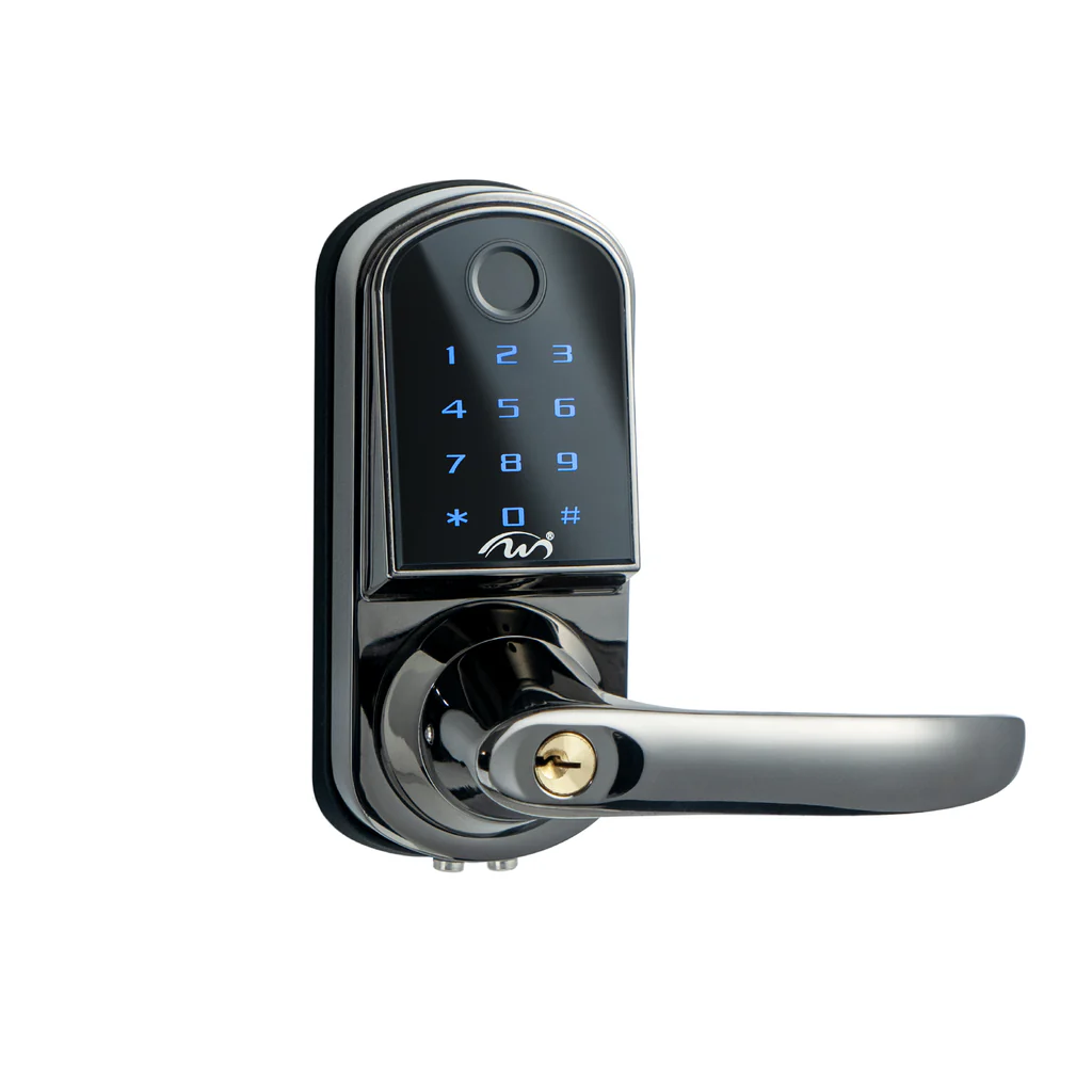Smart Door Locks