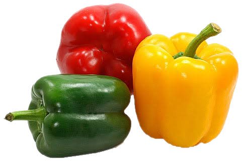 Capsicum