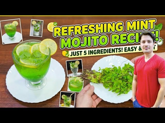 Mint Mojito