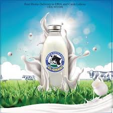 Milk